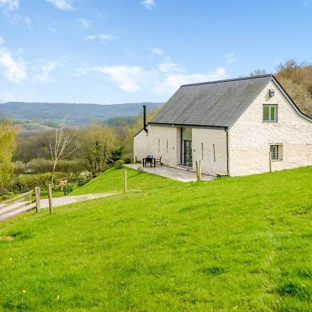 USK Barn Apartment Llanbadoc Bagian luar foto