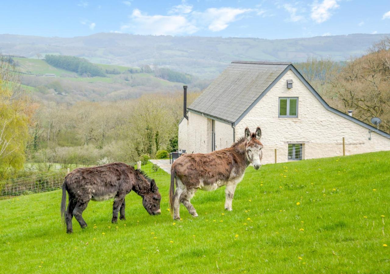 USK Barn Apartment Llanbadoc Bagian luar foto