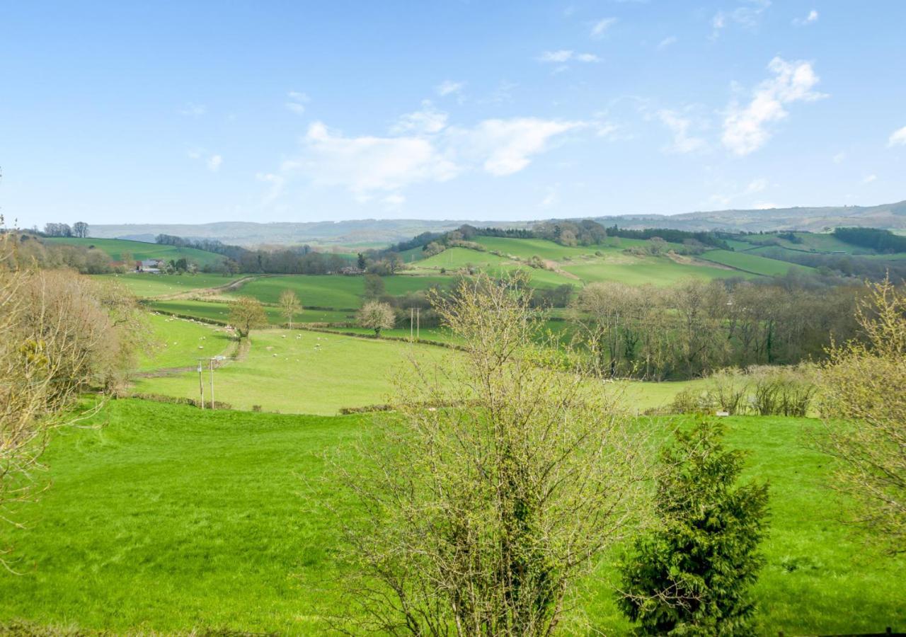 USK Barn Apartment Llanbadoc Bagian luar foto